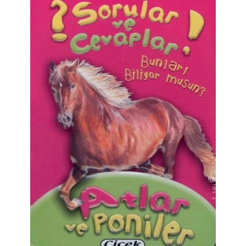 Sorular Ve Cevaplar Kart Atlar Ve Poniler