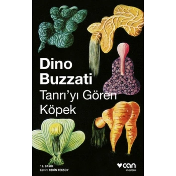 Tanrıyı Gören Köpek