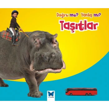 Taşıtlar / Doğru mu? Yanlış mı?