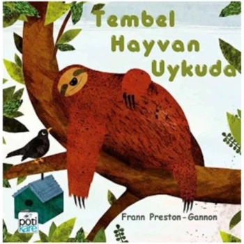 Tembel Hayvan Uykuda