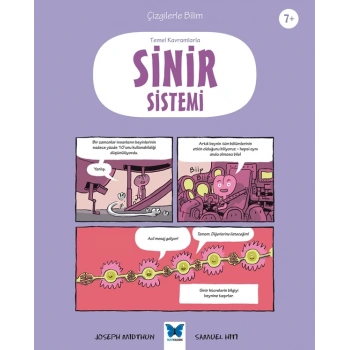 Temel Kavramlarla Sinir Sistemi