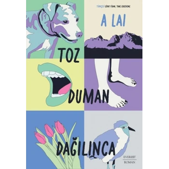 Toz Duman Dağılınca