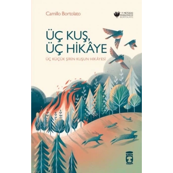 Üç Kuş, Üç Hikâye