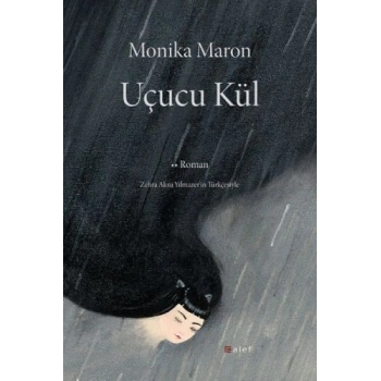 Uçucu Kül