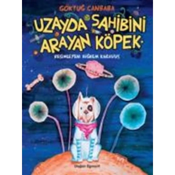 Uzayda Sahibini Arayan Köpek