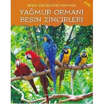 Yağmur Ormanı - Besin Zincirleri
