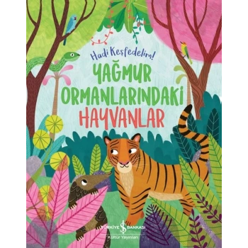 Yağmur Ormanlarındaki Hayvanlar – Hadi Keşfedelim!