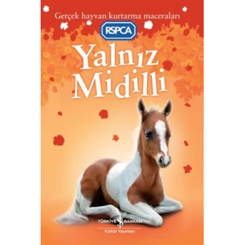 Yalnız Midilli