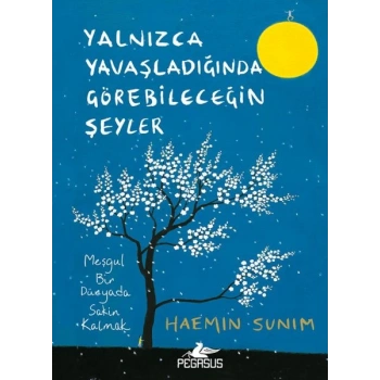 Yalnızca Yavaşladığında Görebileceğin Şeyler (Ciltli)
