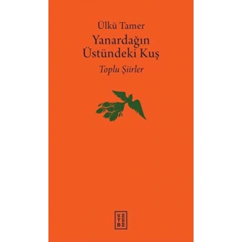 Yanardağın Üstündeki Kuş