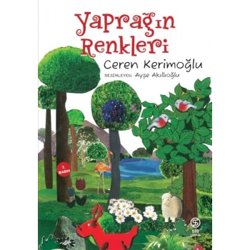 Yaprağın Renkleri