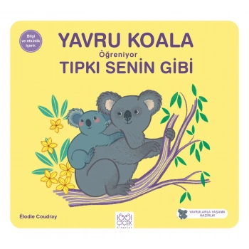 Yavru Koala Öğreniyor Tıpkı Senin Gibi