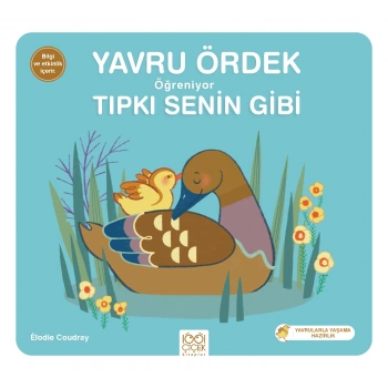Yavru Ördek Öğreniyor Tıpkı Senin Gibi