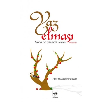 Yaz Elması  67de On Yaşında Olmak