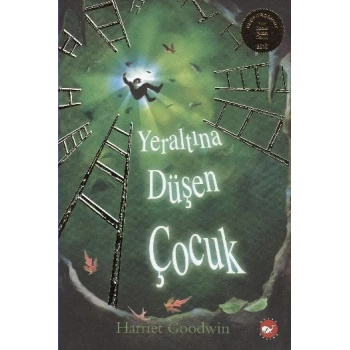 Yeraltına Düşen Çocuk