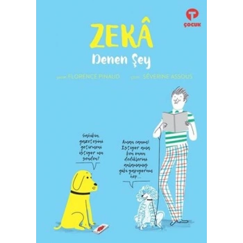 Zeka Denen Şey