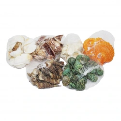 İBİCO ENFA-025( FİLELİ ) ( BEYAZ & RENKLİ MİX ) MİDYE DENİZ KABUK VAZO TAŞI*96