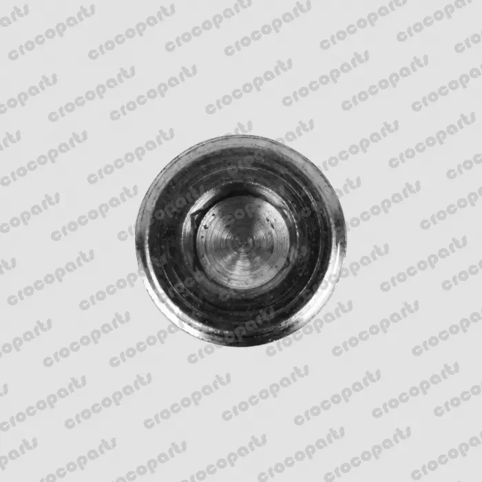 PLUG, MAGNETIC SH 3/4 NPT