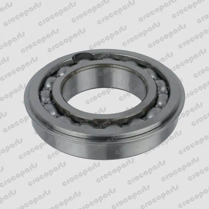 BEARING, DEEP GROOVE BALL 55 x 100 x 21 OPEN C/W SNAP RING