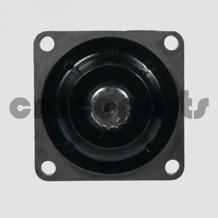 HYDRAULIC MOTOR