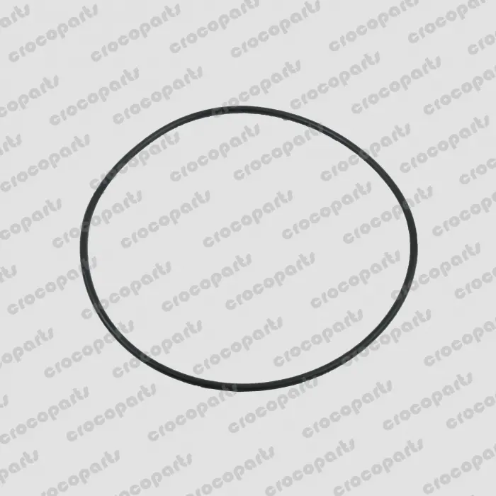 O-RING