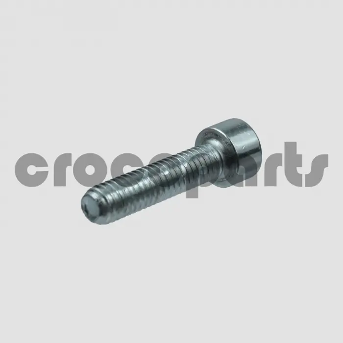 SCREW,SOCK,HEX
