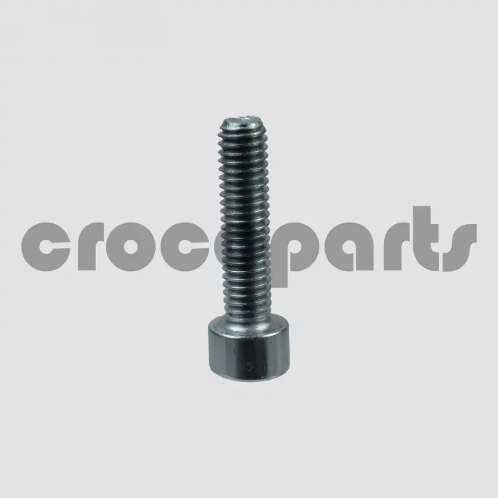 SCREW,SOCK,HEX