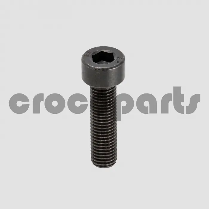 SCREW,SOCK,HEX