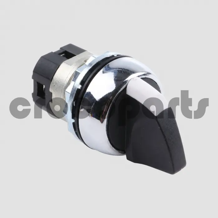 SWITCH ASM, 2 POSITION