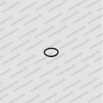 O-RING, PACK HOLDER