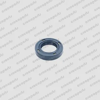PLUNGER ROD SEAL