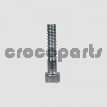 SCREW