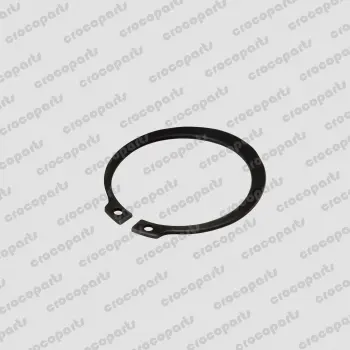 SNAP-RING