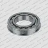 BEARING, DEEP GROOVE BALL 55 x 100 x 21 OPEN C/W SNAP RING