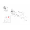 FLANGE