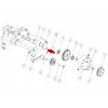GEAR ASM, MATING