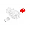 CHUCK JAW KIT