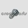 SCREW