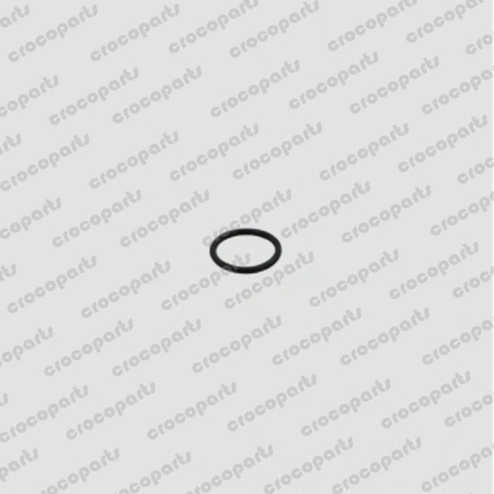 O-RING, PACK HOLDER