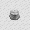 SQUARE HEAD PLUG
