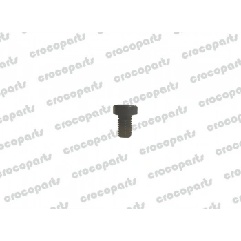 CAP SCREW