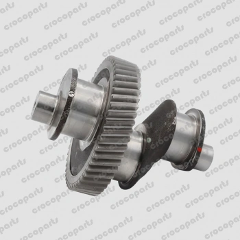 ECCENTRIC GEAR ASSEMBLY