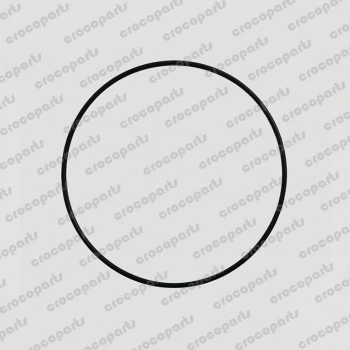 O-RING, SAE 257 VITON 75D