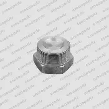 PLUG, 2 NPT SQ HD