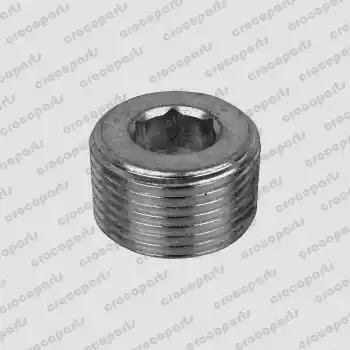 PLUG, MAGNETIC SH 3/4 NPT