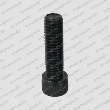 C/SCR, SH 3/4-10 UNC X 1-3/4 A574 ZF