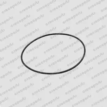 CYL HEAD O-RING