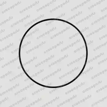 O-RING, SAE 257 VITON 75D