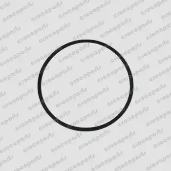 O-RING, SQ SAE 258 BUNA-N 70D