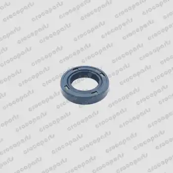 PLUNGER ROD SEAL